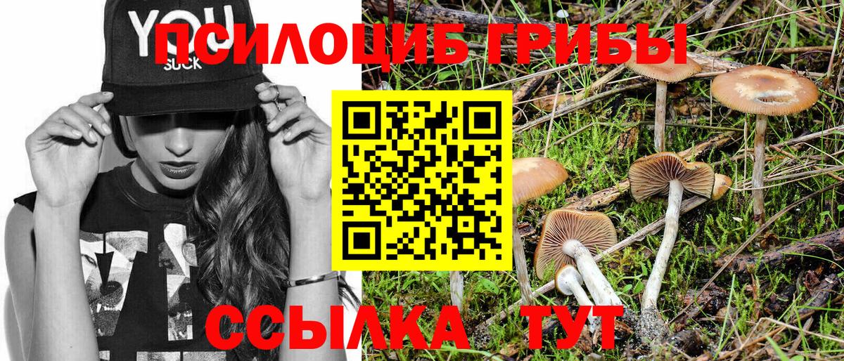 Псилоцибиновые грибы Psilocybine cubensis  Вход с VPN  Асбест 