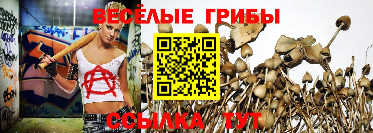 Бутират Асбест